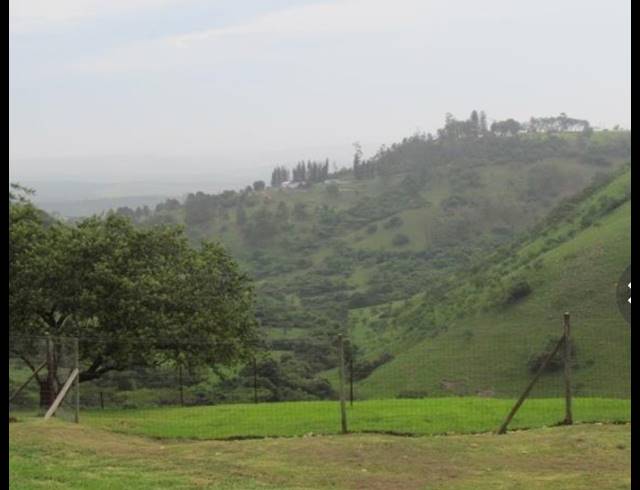 28HA FARM FOR SALE IN CATO RIDGE